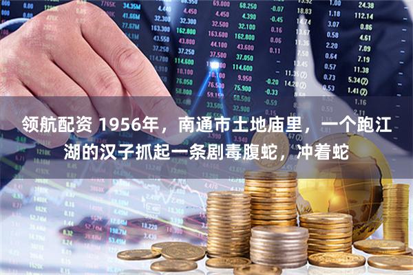 领航配资 1956年，南通市土地庙里，一个跑江湖的汉子抓起一条剧毒腹蛇，冲着蛇