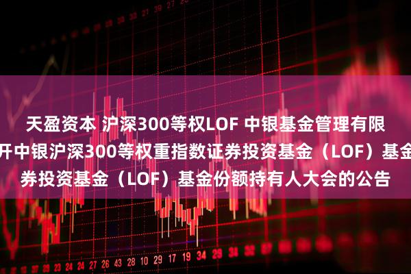 天盈资本 沪深300等权LOF 中银基金管理有限公司关于以通讯方式召开中银沪深300等权重指数证券投资基金（LOF）基金份额持有人大会的公告