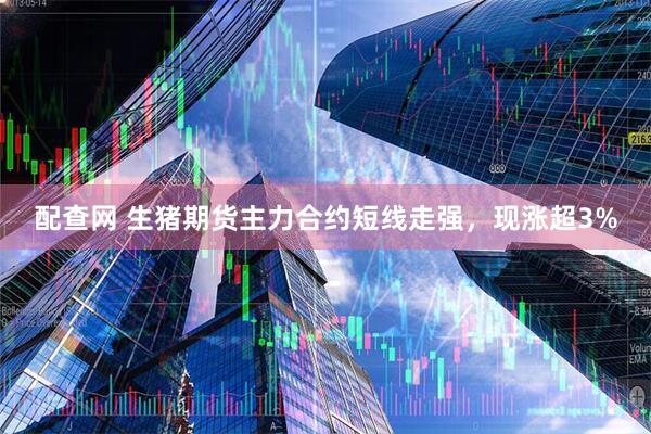 配查网 生猪期货主力合约短线走强，现涨超3%