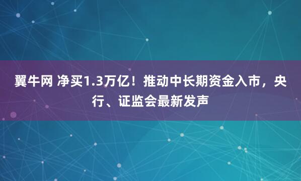 翼牛网 净买1.3万亿!推动中长期资金入市,央行、证监会最新发声
